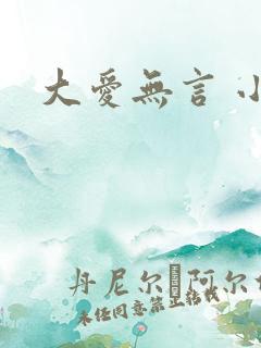 大爱无言 小说