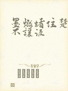 墨燃堵住楚晚宁不让流