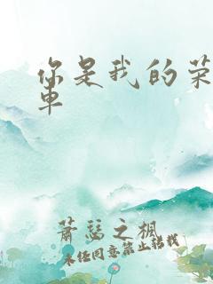 你是我的荣耀肉车