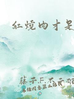 红烧肉才是真爱