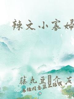辣文小寡妇