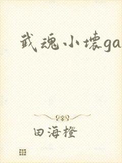 武魂小坏ga