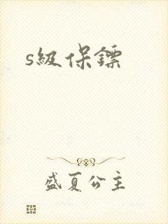 s级保镖