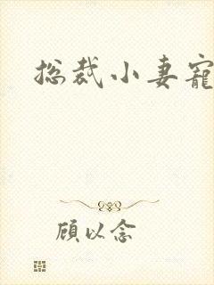 总裁小妻宠上天