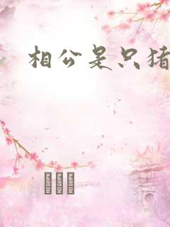 相公是只猪