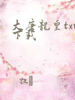 大唐龙皇txt下载