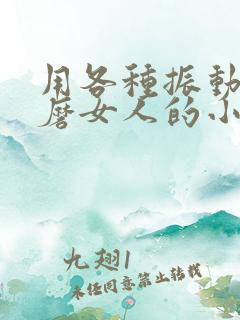 用各种振动器折磨女人的小说