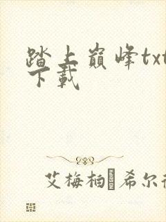 踏上巅峰txt下载