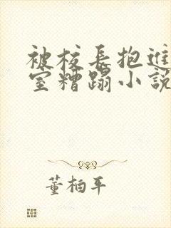 被校长抱进办公室糟蹋小说