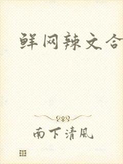 鲜网辣文合集