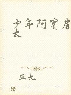 少年阿宾房东太太