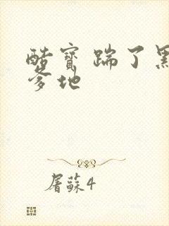 酷宝 踹了黑道爹地