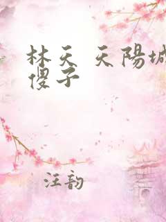 林天 天阳城 傻子