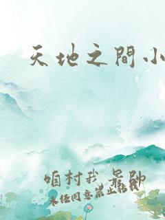 天地之间小说