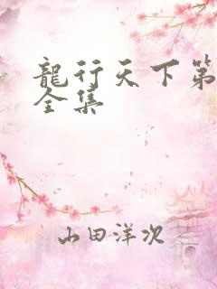 龙行天下第3部全集