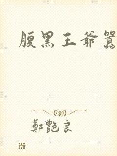 腹黑王爷嚣张妻