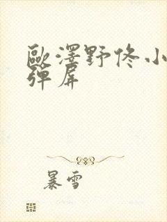 欧泽野佟小曼无弹屏