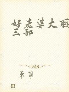 好老婆大联盟第三部