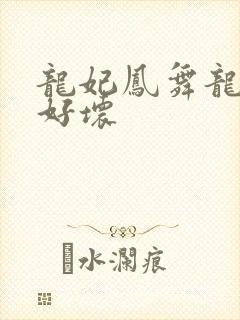 龙妃凤舞龙王你好坏