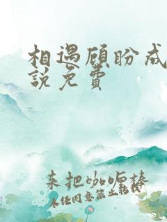 相遇顾盼成欢小说免费