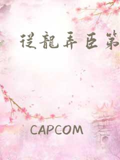 从龙弄臣第一次