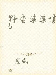 野蛮婆婆俏媳妇5