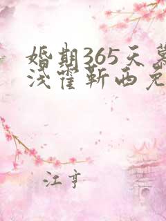 婚期365天慕浅霍靳西免费阅读