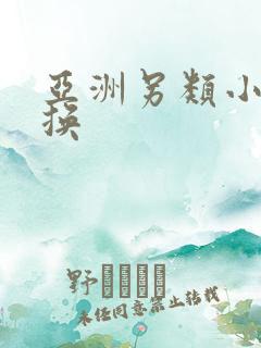 亚洲另类小说交换