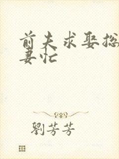 前夫求娶总裁追妻忙