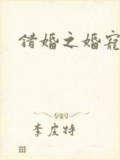 错婚之婚宠一世