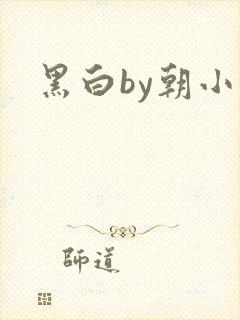 黑白by朝小诚