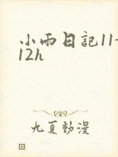 小雨日记11-12h