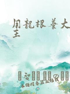 用龙根养大的公主