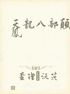 天龙八部颠龙鸾凤