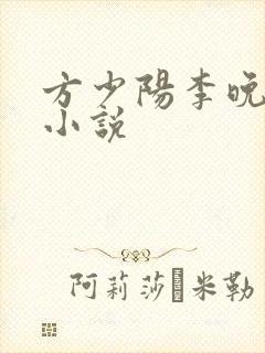 方少阳李晚晴的小说