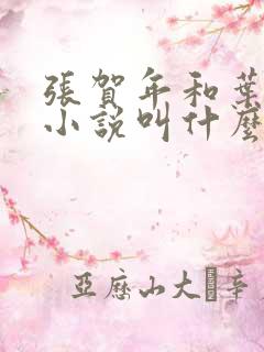 张贺年和叶繁姿小说叫什么名字