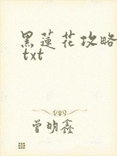 黑莲花攻略手册 txt