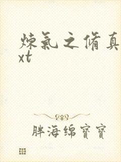 炼气之修真者txt