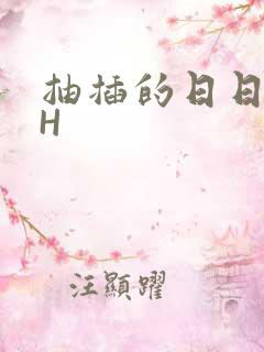 抽插的日日液液H
