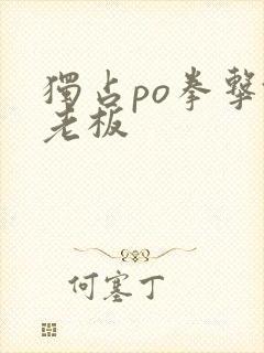 独占po拳击馆老板