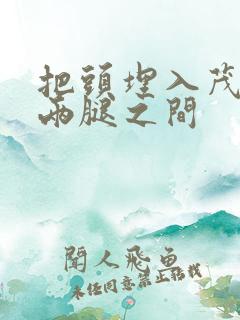 把头埋入茂密的两腿之间