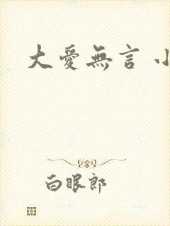 大爱无言 小说
