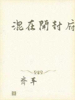 混在开封府