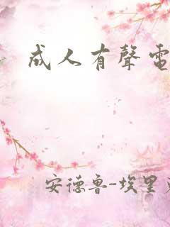 成人有声电子书