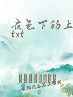 夜色下的上海滩txt