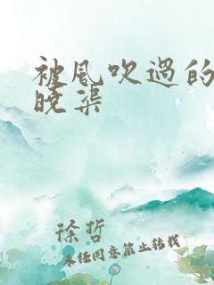 被风吹过的夏天晓渠