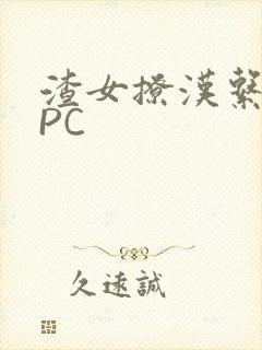 渣女撩汉系统NPC