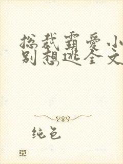 总裁霸爱小娇妻别想逃全文阅读免费