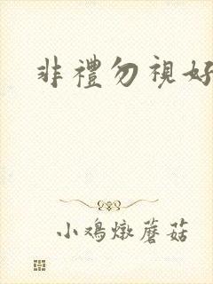 非礼勿视好看吗
