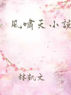 风啸天小说